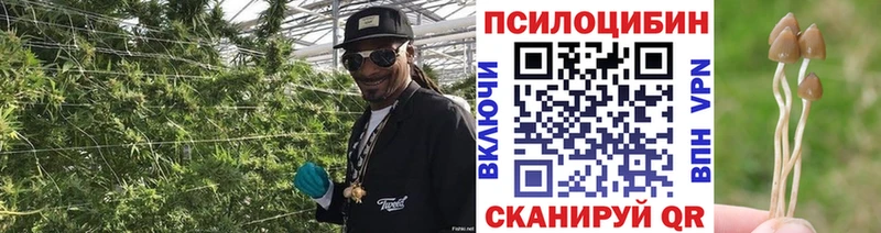 Галлюциногенные грибы Cubensis гидра как войти Райчихинск